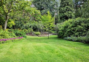 Optimiser l'expérience du jardin à Pleyben